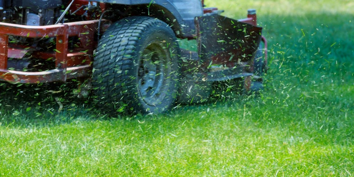 mowing services, yard maintenance, lawn care services