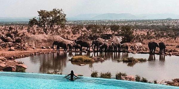 The best camps and lodges in the park