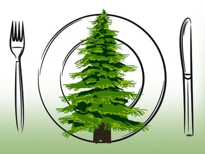 A Christmas tree on a plate with a fork and knife.