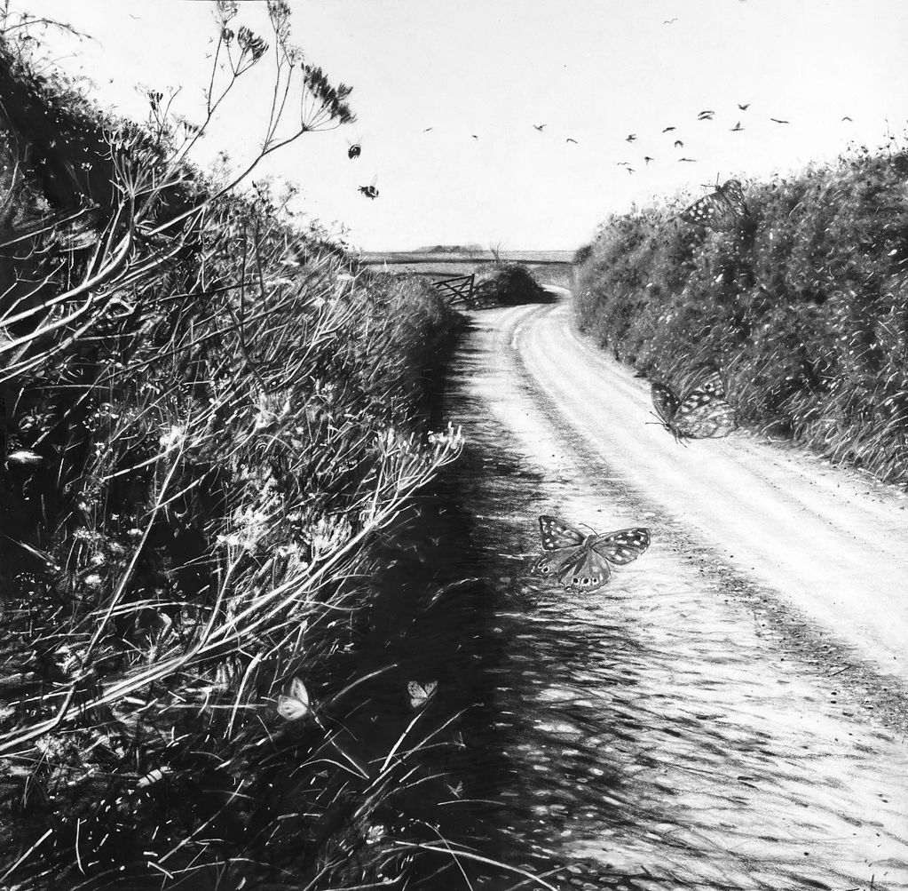 Cornish Lane in May
Pitt pastel and ink 50x50
SOLD