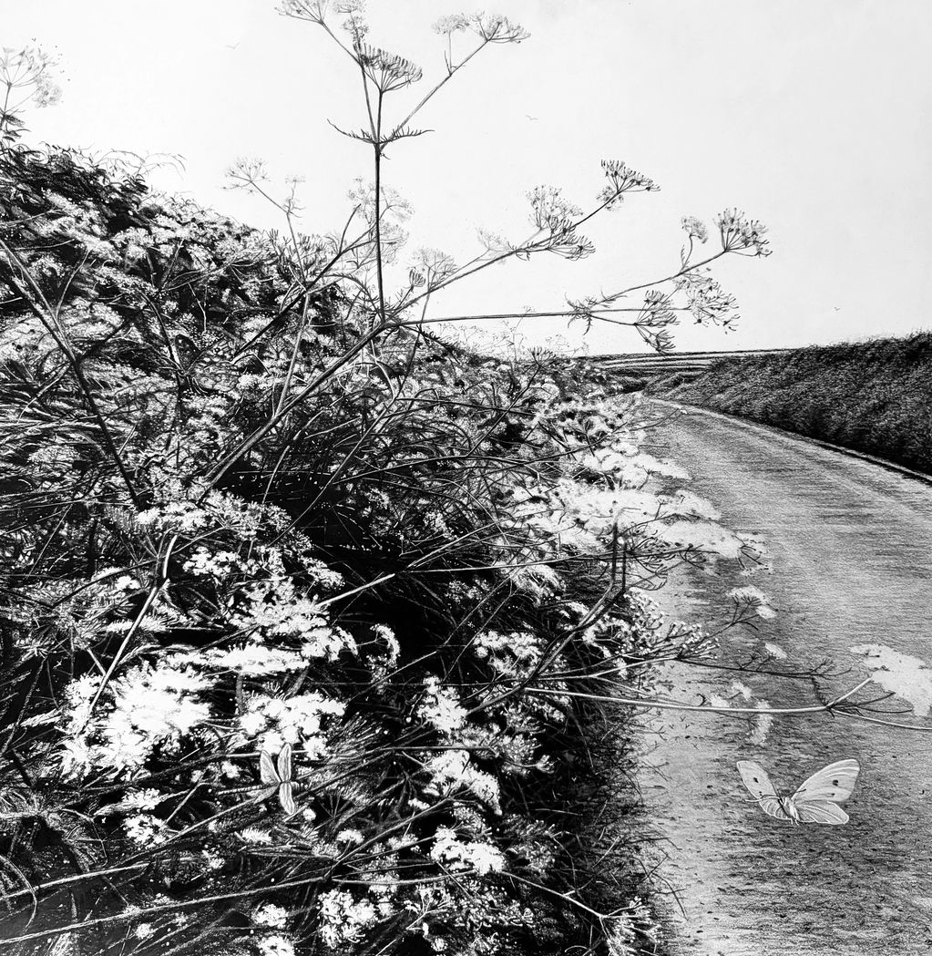 Black and white photo of wildflowers beside a country road with a butterfly.