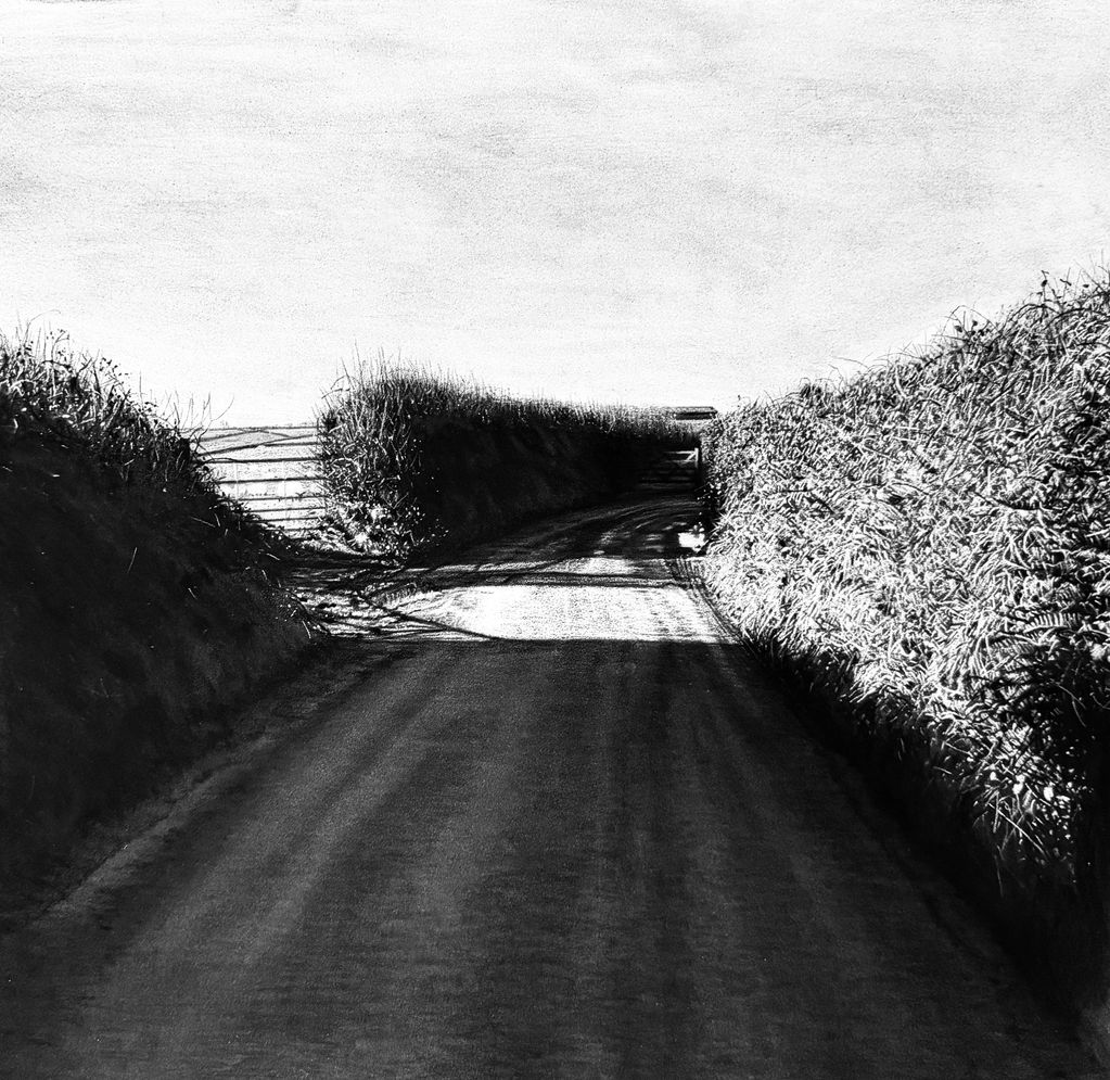 A narrow country road flanked by tall hedges under a bright sky.