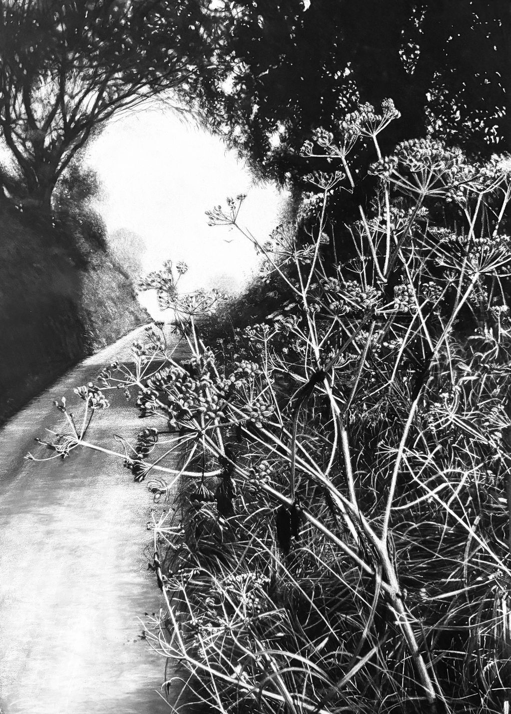 Black and white photo of a sunlit path with wildflowers in the foreground.