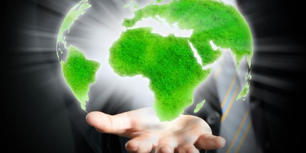 green sustainable cleaning product