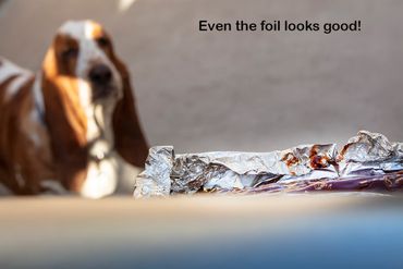 Roy will eat anything