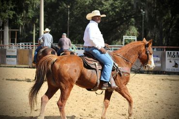 Man in cowboy hat riding a brown horse in an outdoor arena.
