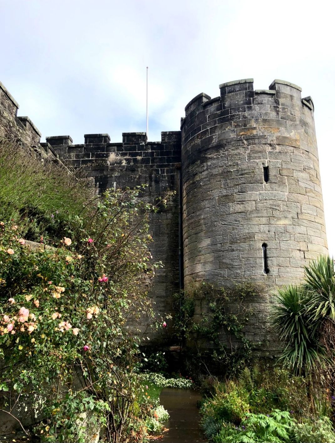 Stone castle tower with surrounding greenery.