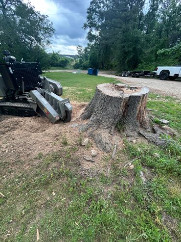 Stump grinder and stump removal. Stump removal service