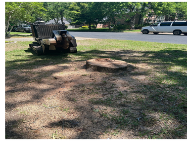 Stump grinder for stump removal