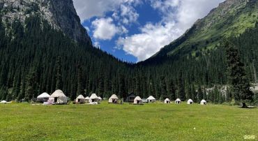 Traditional yurts set in a green valley surrounded by tall pine forests and mountains.