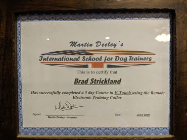 certified dog trainer