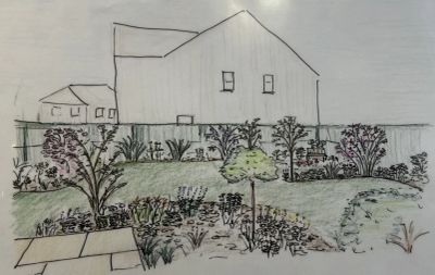 Hand-drawn sketch of a garden with plants and houses.