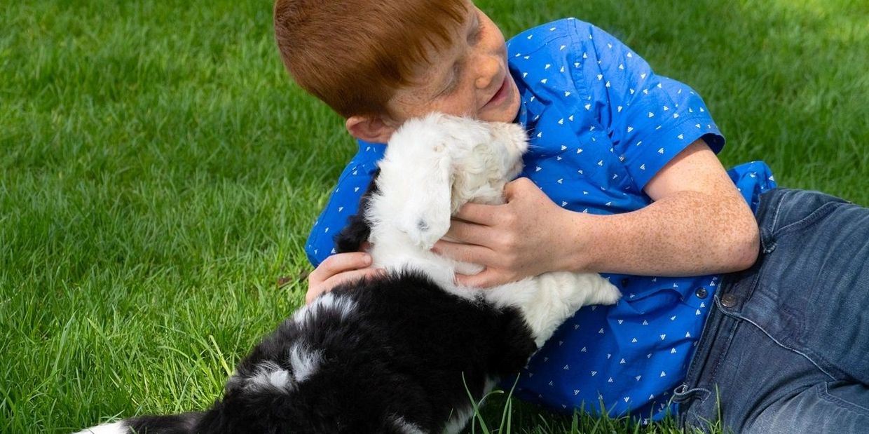 Puppy licking boy's face