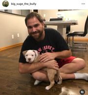 Sweet puppies ready to go home