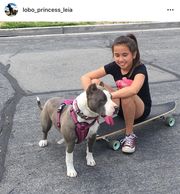 The best family pets available here