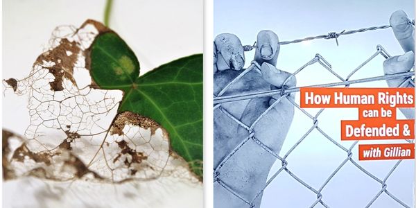 Left: Decaying leaf skeleton; Right: Hands gripping a chain-link fence about human rights.