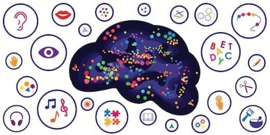 Sensory play builds neural connections. 
sensory bin
organic learning 
learning through play