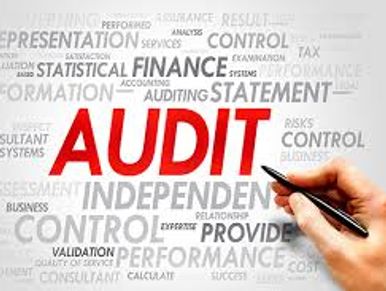 We perform financial statement audit, compilations and financial review.