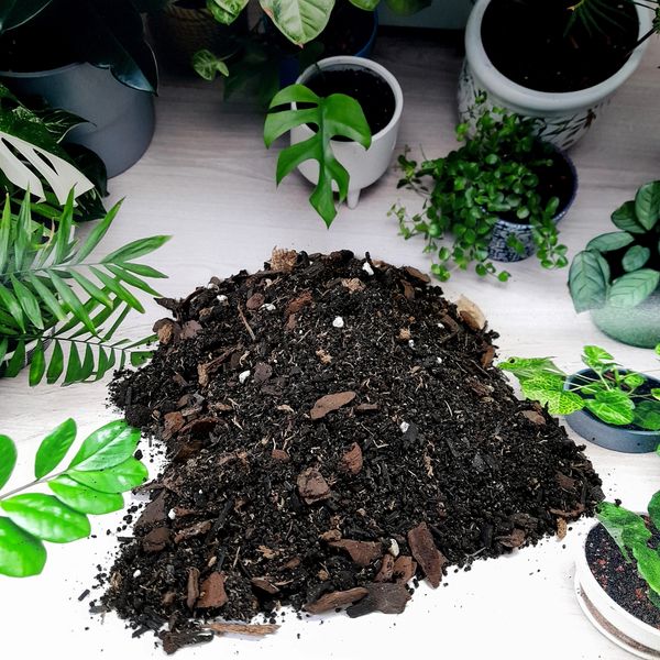 Science-based ingrediants used to create the Best Soil Cremation Mixture possible for planting ashes