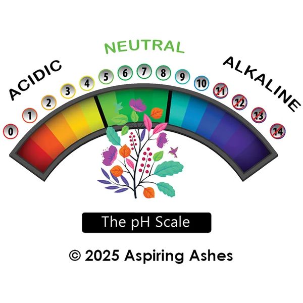 Do cremation ashes harm plants is a valid concern. Learn how to plant ashes without causing harm.