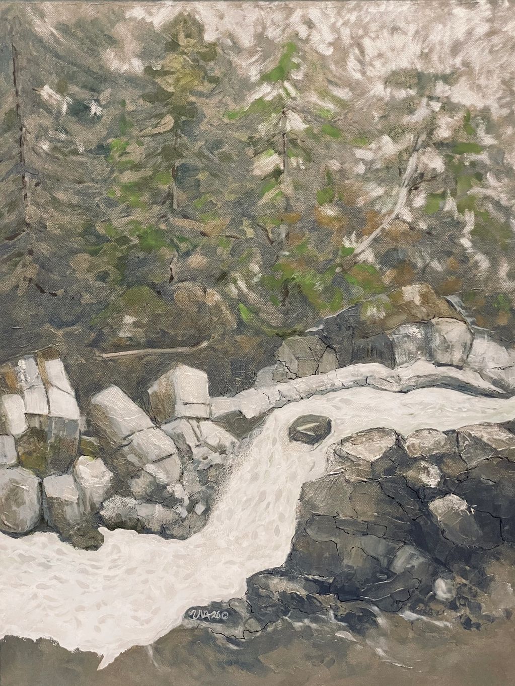 MAMQUAM FALLS
Deep within the rainforest at the Squamish Canyon you begin your journey on wooden b