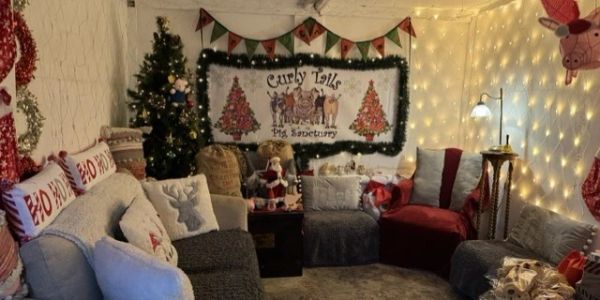 Cozy, festive living room with holiday decorations.