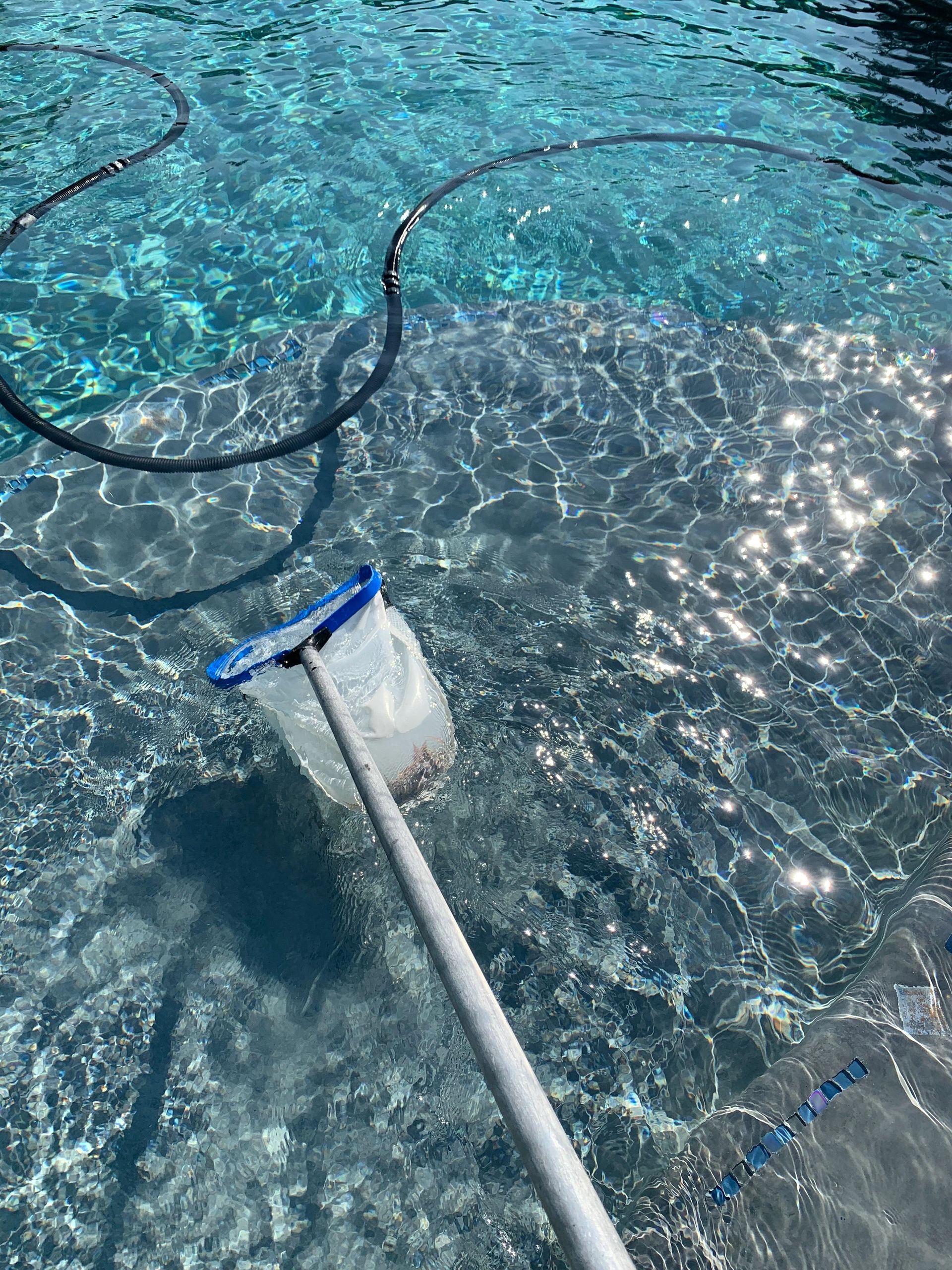 Pool service Woodbridge, Ca