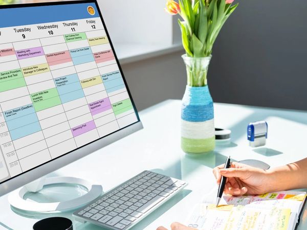 Timelines and Schedules