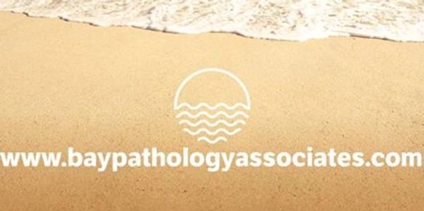 Bay Pathology Associates.com
