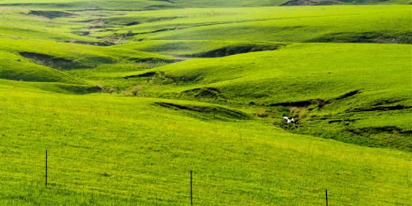 Flint Hills
Opera Workshop in the Flint Hills