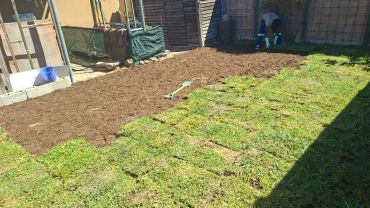 Person laying sod on prepared soil in a backyard.