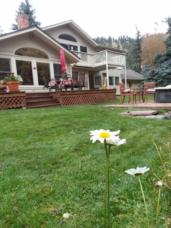 Foothills Ground Control Lawn Service Ken Caryl, Colorado