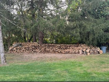 Large stack of chopped firewood under trees.