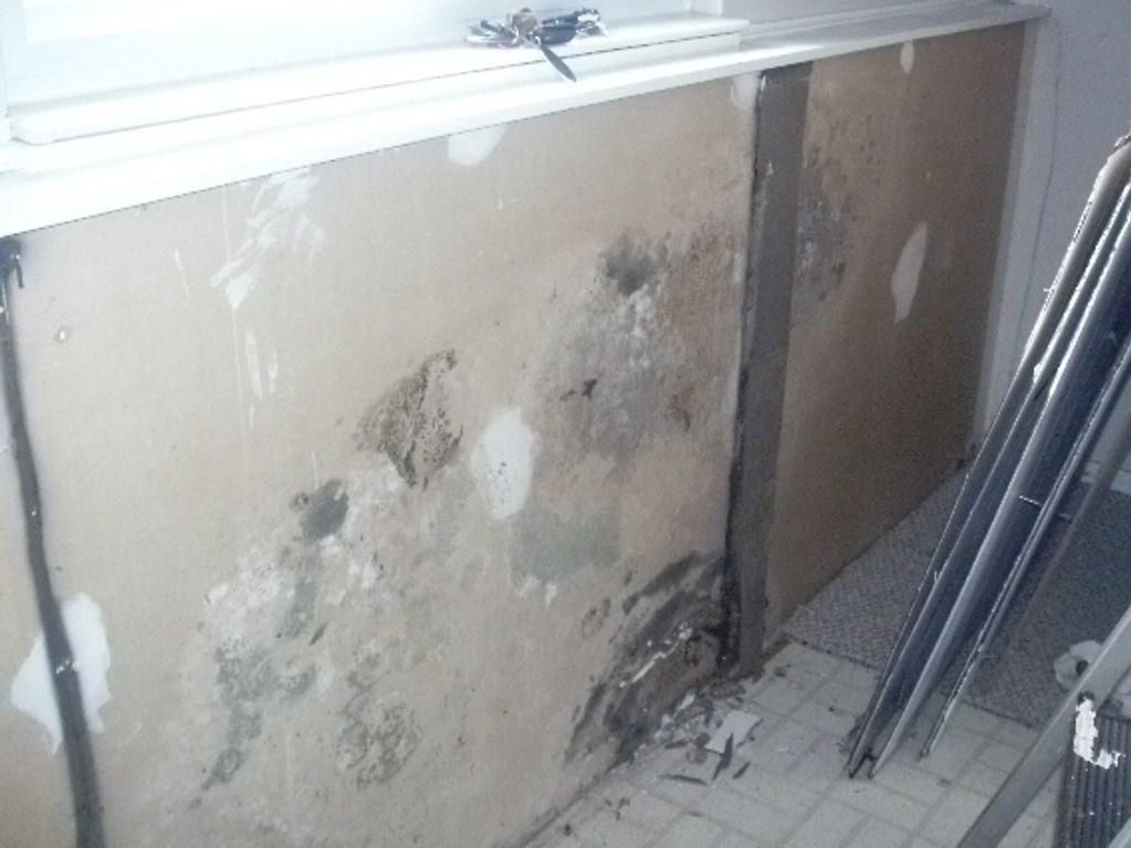 Moldy drywall due to leaking foundation at front of house. 
