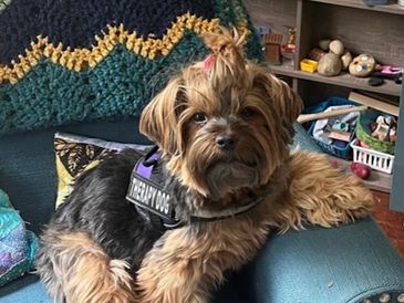 Roma, canine good citizen, pet assisted therapy, dallas art therapy, inclusive, trauma informed