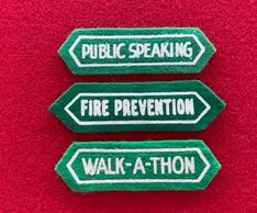 fabric school badges