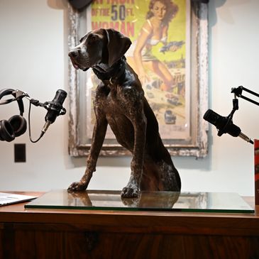 Dog in front of a microphone and laptop, ready to record.