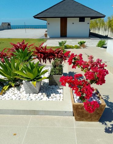 A modern house with a tiled roof and colorful potted plants in the foreground.