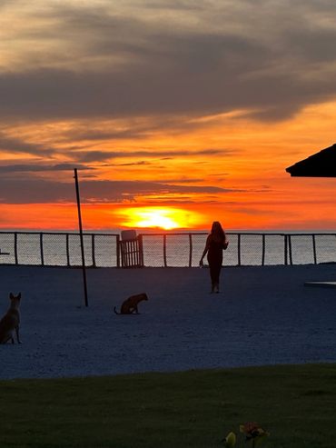 Silhouette of a woman and two dogs at sunset by the water.