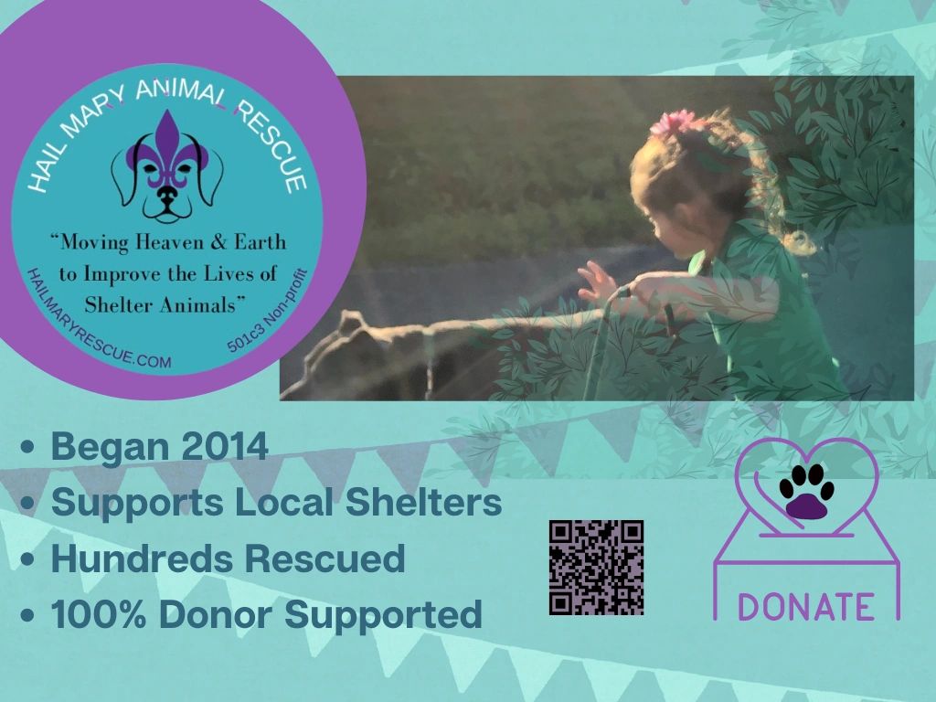 Kids and rescue dogs