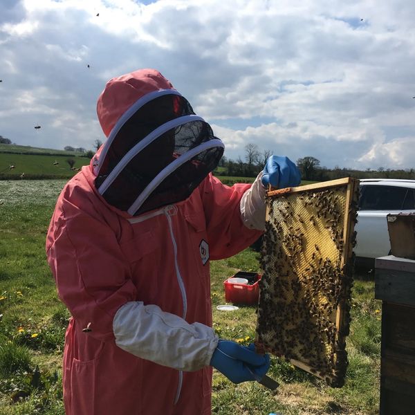what a buzz beekeeper and bees