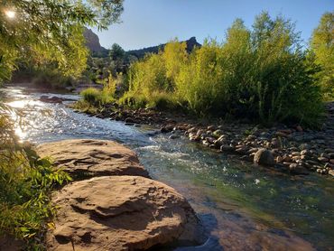Northern Arizona Pickers