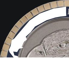 Custom Police Coin, Challenge Coin,Marine Coin, Enamel Coin,Grid edge