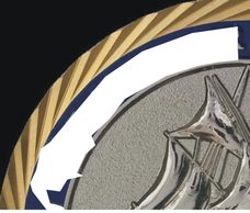 Custom Police Coin, Challenge Coin,Marine Coin,Enamel Coin,Oblique edge