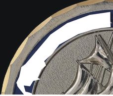 Custom Police Coin, Challenge Coin,Marine Coin, Enamel Coin,Petal Edge