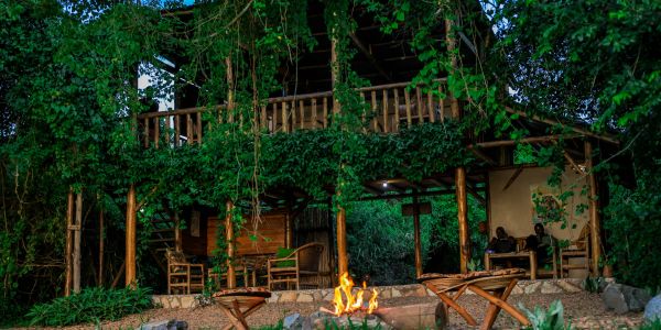 A cozy wooden cabin surrounded by lush greenery with a campfire in front.