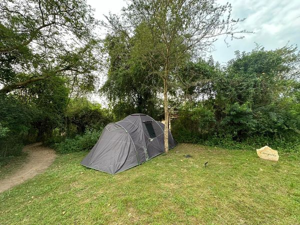 Murchison giraffe camp campsite