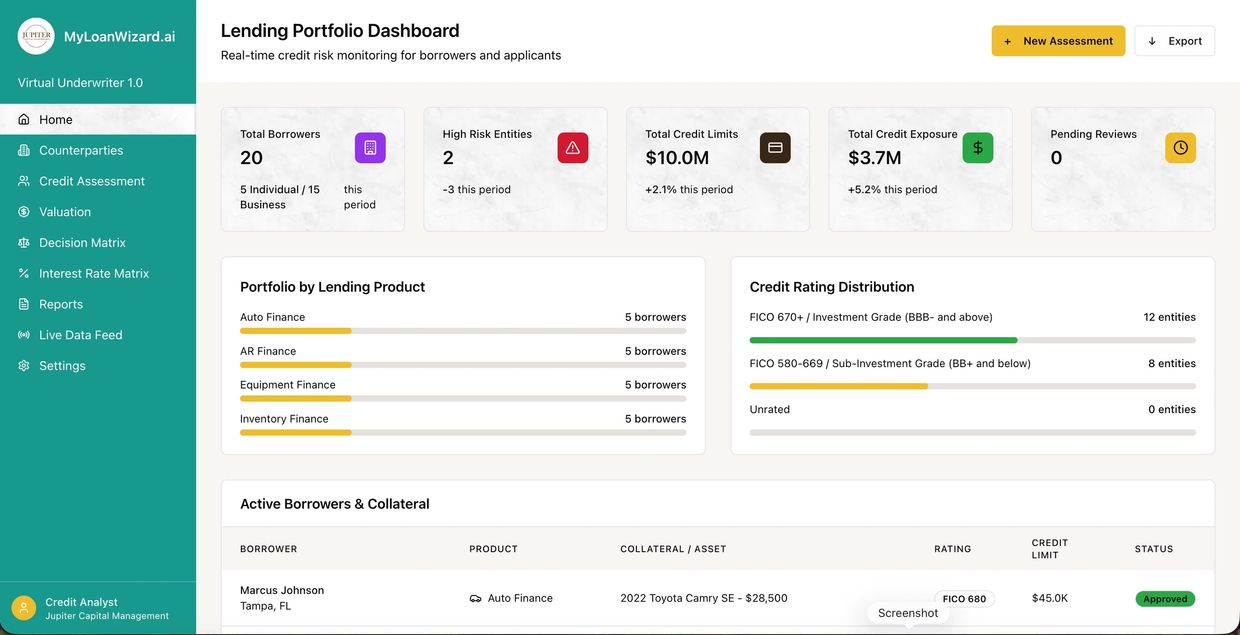 Lending portfolio dashboard showing borrower stats, credit limits, and risk levels.