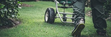 Colorado lawn fertilizer treatment services. Organic natural Colorado lawn spray treatment service.