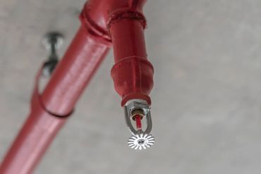 Red fire sprinkler attached to a ceiling pipe.